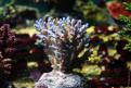 IMG 7761