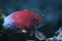IMG 4858