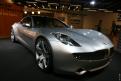 Fisker (6)