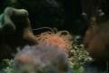 IMG 7640
