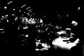 Insub Meta Orchestra