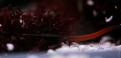 Mer Rouge 157
