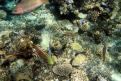 IMG 3048b