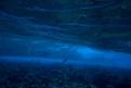 IMG 3502b