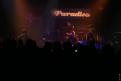 The Young Gods 57