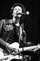 Eagle Eye Cherry 249