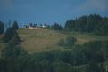IMG 7196