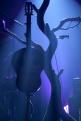 Yodelice