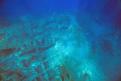 IMG 4122b