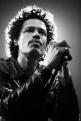 Eagle Eye Cherry 266