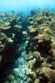 IMG 3521b