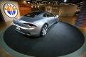 Fisker (3)