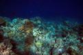 IMG 3484b