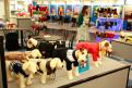 Interzoo 051