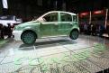 Fiat (5)