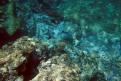 IMG 3013b