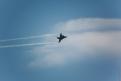 Sion AirShow 950