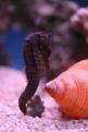 IMG 4818