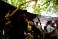 Street Parade 2010