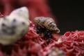 IMG 4883