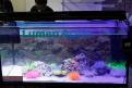 Interzoo 025