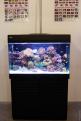 Interzoo 053