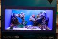 Interzoo 174