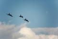Sion AirShow 801