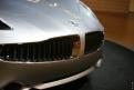 Fisker (15)