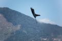 Sion AirShow 469
