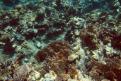 IMG 3476b