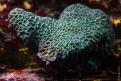 IMG 7759