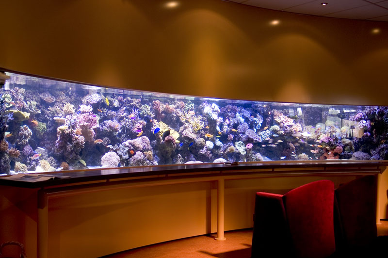 OHC Vlaardingen 8000 litres
