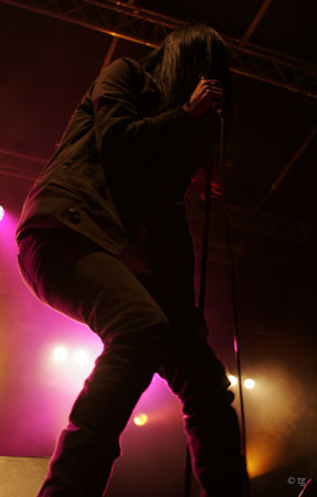 The Kills 4 vertical