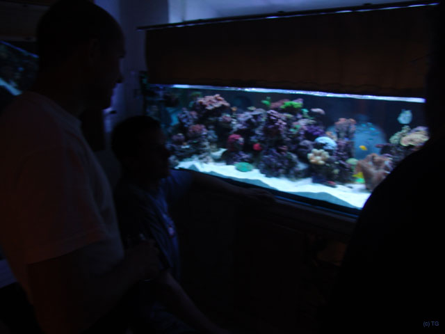 DSC01924