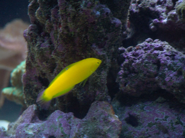 DSC01944