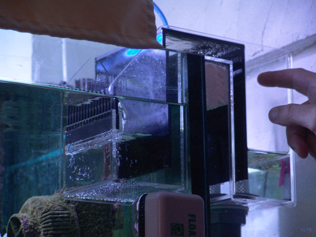 DSC01945