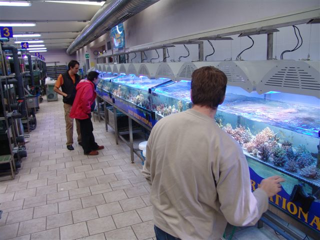 DSC02516