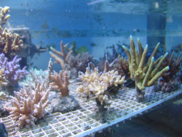 DSC02517