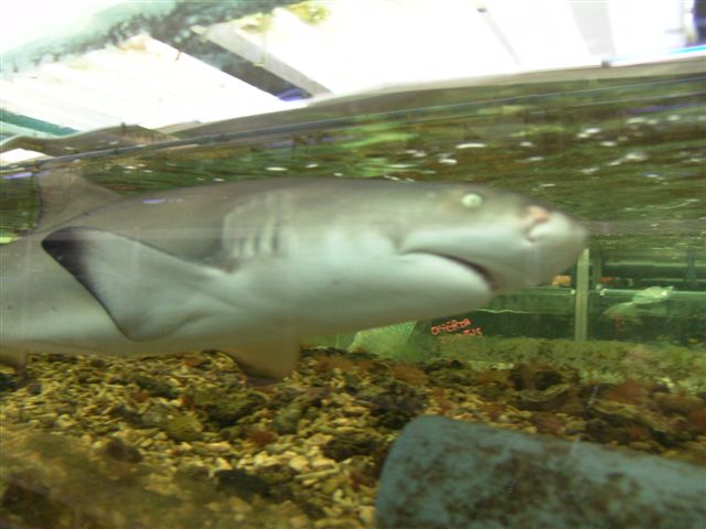 DSC02519