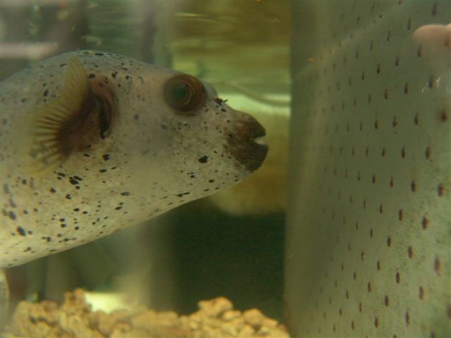 DSC02524