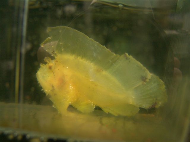 DSC02525