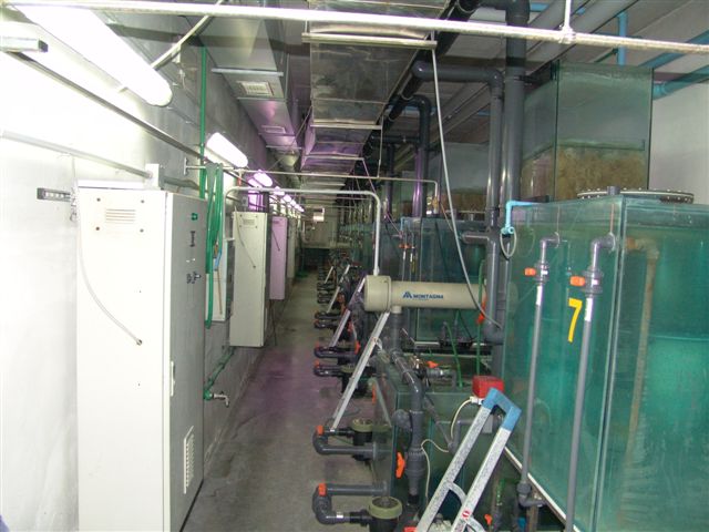 DSC02532
