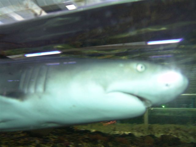 DSC02567