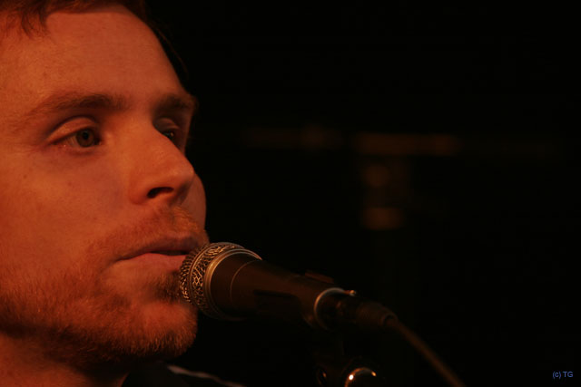 Fauve 4