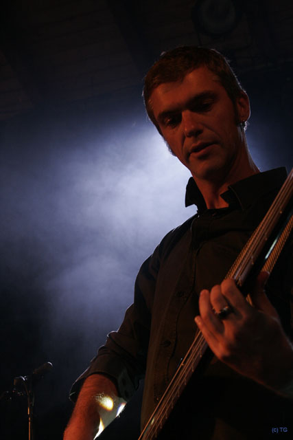 Fauve 8