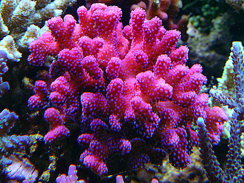 DSC07188