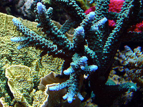 DSC07190