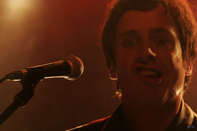 Stevans 3