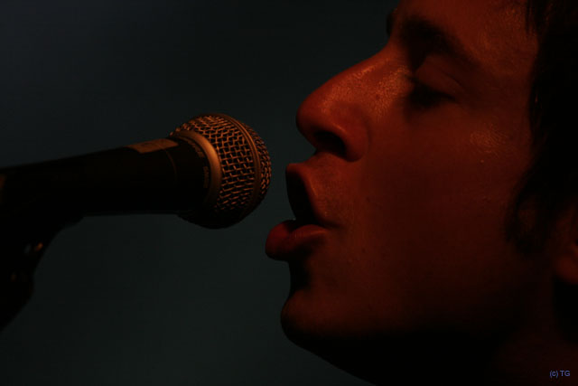 Stevans 4